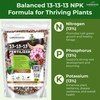 Gardenwise 13-13-13 Slow Release Granular Fertilizer – All Purpose Plant