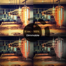 Weyolin 6 Pack T10 Tubular Light Bulbs, 40W Bulb, Clear Incandescent, E26 Medium Base, Warm White, Dimmable Vintage Tubular Style Showcase Bulb