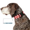 Buckle-Down PC-W30312-S Dog Collar Plastic Clip Buckle, 1" x9-15, Checker