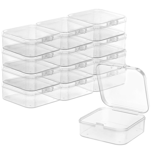 TRUEIN 12 Small Plastic Boxes with Lids, Mini Clear Bead