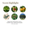 Young Living Deep Relief Roll 10ml Menta Limón Abeto Bálsamo