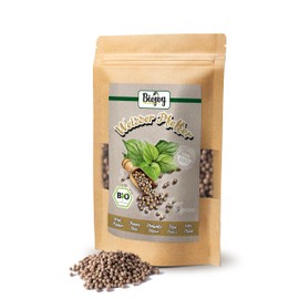 Biojoy Organic Pepper White Whole (100 g), Peppercorns White, Ideal for the Mill (Piper Nigrum)