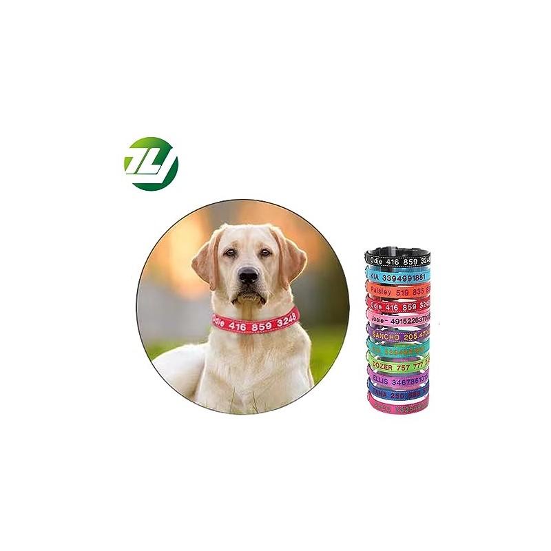 Collar de Perro Nylon Reflectante con Nombre Personalizado Collar Perro