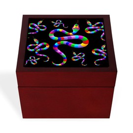 CafePress Snake Psychedelic Rainbow Colors Memory Keepsake Jewelry Box, 5"x5"x3.75"