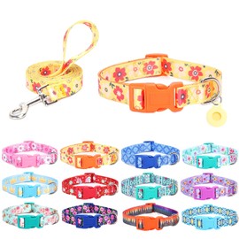 SLZZ Dog Collar with Lead Airtag Holder Case Set - Dog Collars for Male Female Boy Girl Puppy X Small Medium Large Dogs Walking Running Training - Orange Daisy, XS