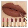 Pintalabios,6 Labiales Terciopelo Mate Waterproof