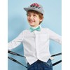 Alizeal Paisley Banded Adjustable Length Pre-tied Boy's Bow Tie, Turquoise