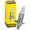 BREHMA 10x H1 12V 55W Halogen Car Lamp P14.5s
