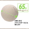 Elecom HCF-BBC65BE Balance Ball Cover, 25.6 inches (65 cm), Convenient