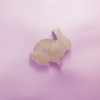 Rabbit Easter Cookie Cutter - 3 Sizes
