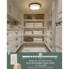 Cargifak 12 inch Flush Mount Ceiling Light, 2-Light Close to
