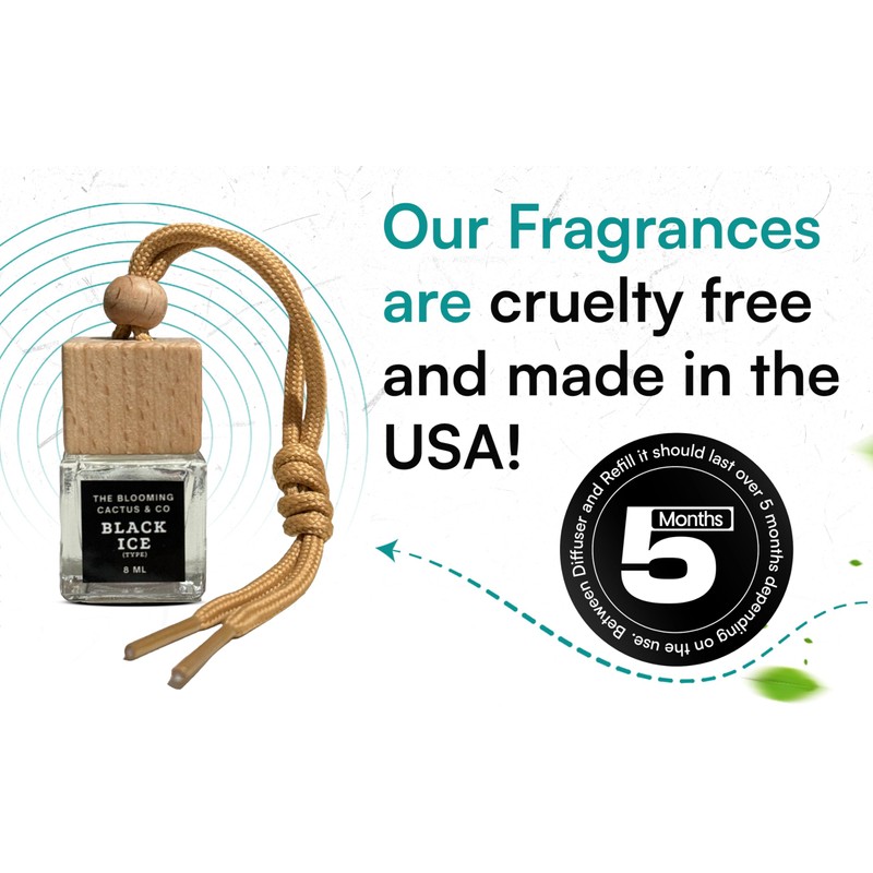 Car Diffuser | Cute car accessory | Scented Car |