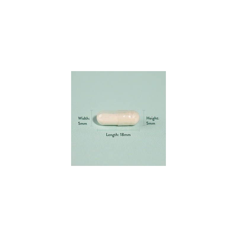 Holland & Barrett Potent Acidophilus (10 Billion) 120 Capsules