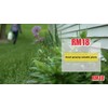 RM18 Fast-Acting Weed & Grass Killer Herbicide, 32-ounce
