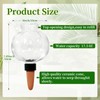 3 Pack Plant Self Watering Globes Top Fill for Indoor