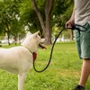 Slip Rope Dog Lead with Comfortable Padded Handle,1.5/2 m Reflective