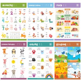 Learn Chinese for Kids Poster Set. Bilingual with Chinese-English. For Babies, Kids, Toddlers, and Preschoolers. Learning Videos Included. With Traditional Chinese and Zhuyin.
