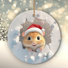 Hamster Ornaments for Christmas Tree, Hamster Christmas Ornaments - Hamster Decor - Gifts for Hamster Lovers, Hamster Gifts for Women Men - Ceramic Ornaments