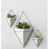 Umbra 470752-670 Trigg Hanging Vase and Geometric Wall Decor Container,