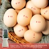 Egg Stamp with Date Display and Price, Ink Pad Included,