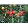 Meister Bird Protection Net – Green – 12 x 12