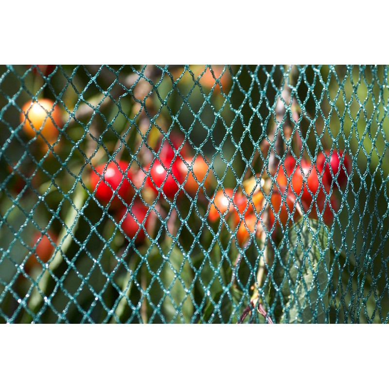 Meister Bird Protection Net – Green – 12 x 12