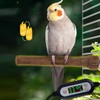 Heated Perches Bird Cage, Bird Heater Fast Heating Intelligent Temperature