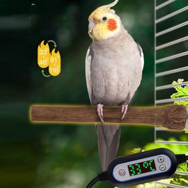 Heated Perches Bird Cage, Bird Heater Fast Heating Intelligent Temperature Control, Resin Parrot Thermal Stand Warmer for Winter for Cockatiels Parrots