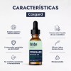 HEBBE COSMETICS CSVD8 Cosgard Conservador Natural Geogard 221 Cosmetica Bio