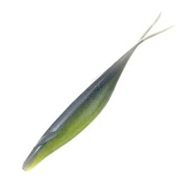 Depth Sakamata Shad F Eco 4in #20 Watermelon Pro Blue