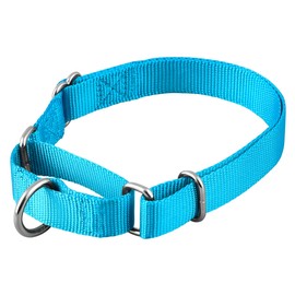 Native Pup Martingale Dog Collar, Adjustable for Small, Medium, Large pet and Puppies Accessories, Cute Colors for Male, Female, Boy, Girl, Puppy (Large, Blue Turquoise)