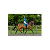Woof Wear Dressage Saddle Cloth - Ocean - Breathable