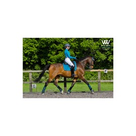 Woof Wear Dressage Saddle Cloth - Ocean - Breathable