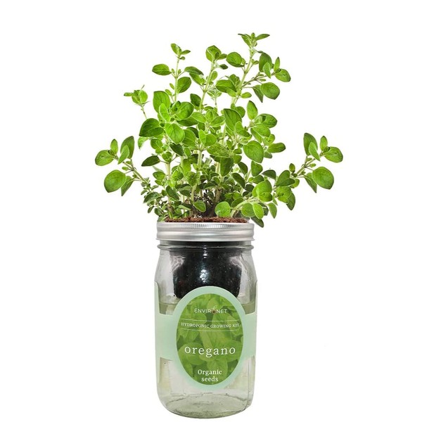 Environet Hydroponic Herb Growing Kit, Self-Watering Mason Jar Herb Garden