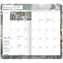 Lang, Songbirds 2 Year 2026 Planner, 3.63'' X 6.5'', Weekly Calendar with Stapled Binding