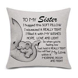Bacmaxom Sister Gifts from Sister Brother Cushion Cover Pillowcase Cushion Case Throw Pillow Cover for Sister Birthday (sister)