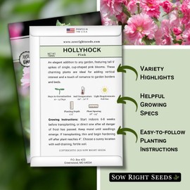 Sow Right Seeds - Pink Hollyhock Seeds for Planting - Non-GMO Heirloom Packet with Instructions to Plant an Outdoor Cottage Garden - Tall Flowers, Cup Shaped Blooms for Bouquets & Arrangements (1)