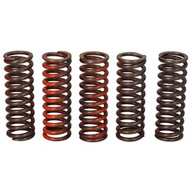 TRW Lucas MEF321-5 Motorcycle Clutch Spring Set