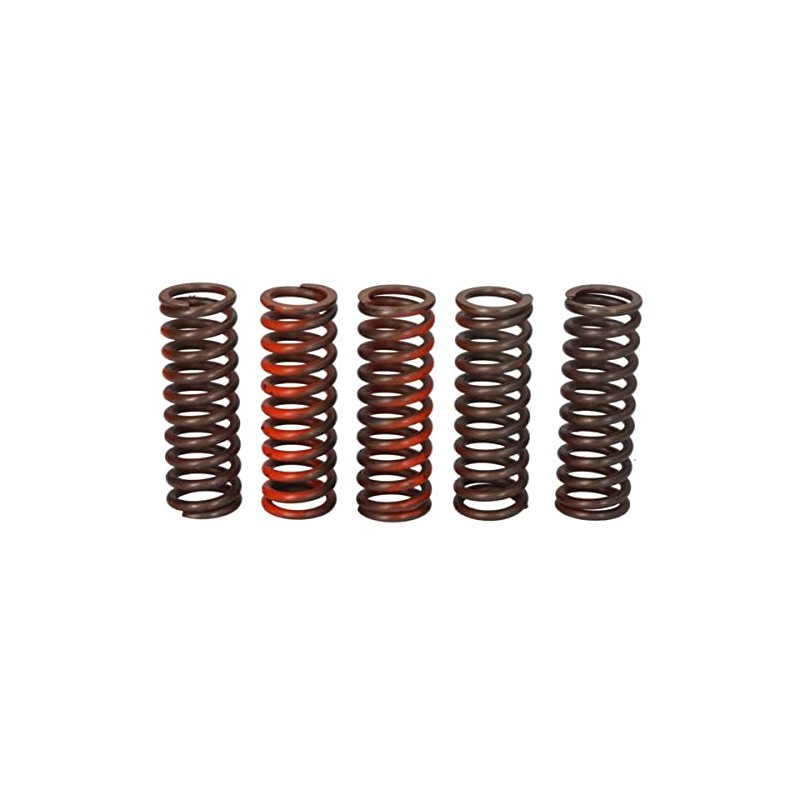 TRW Lucas MEF321-5 Motorcycle Clutch Spring Set
