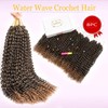 Passion Twist Hair Water Wave Crochet Hair for Black Women