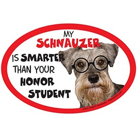 Schnauzer Car Magnets: My Schnauzer is Smarter Than Your Honor Student - Oval 6" x 4" Auto/ Truck/ Refrigerator/ Mailbox (Funny Car Decals, Dog Magnet, Schnauzer)