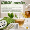 VINAREEN Soursop Leaves, 50 Count – Sugar-Free, Caffeine-Free, Gluten-Free Sour