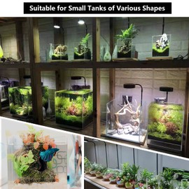 AREPK Aquarium Light Full Spectrum LED, for Under 7 Gallon Fish Tank, Light with Timer Auto On/Off, Betta Fish Tank,Indoor Plant Growth, Potted Plants, Succulent, Miniature Gardening Landscape (9)