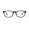Ijipiji Reading Glass +2.5#B-TORTOISE