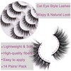 Losha Eyelashes Natural Look Faux Mink Lashes Pack Handmade Wispy