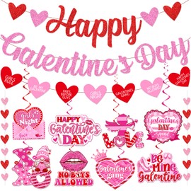 Galentines Day Decorations, Galentines Day Party Supplies includes Glitter Happy Galentines Day Banner Heart Garland and XOXO Hanging Swirls, Girl Lady Galentines Day Decorations for Office Home
