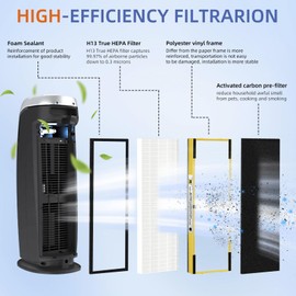 FLT4825 HEPA Filter B Replacement Compatible with G-Guardian Air Purifiers AC4825 AC4300 AC4800 AC4900 AC4850,2 H13 True HEPA Filters+8 Carbon Pre-Filters