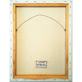 A Woman with Umbrella in Ladies Outhouse Toilet Bathroom Picture on Stretched Canvas, Wall Art Decor Ready to Hang!. (14" x 18")