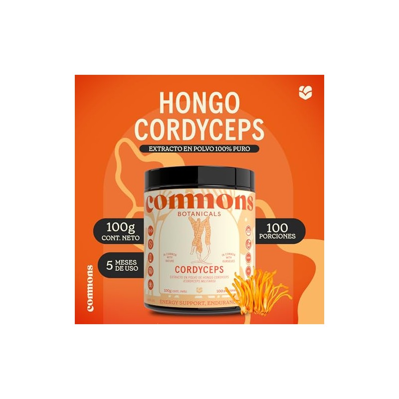 Commons Hongos Adaptógenos - Hongo Cordyceps - Extracto Puro en