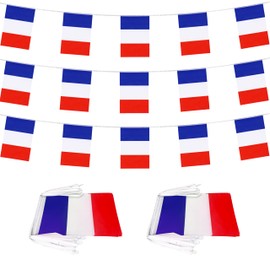 LoveVC 2 Packs 8×12 Inch France Flag Banner String French Flags Small Mini Hanging Bunting Banner Decorations,70 Feet 40 Flags